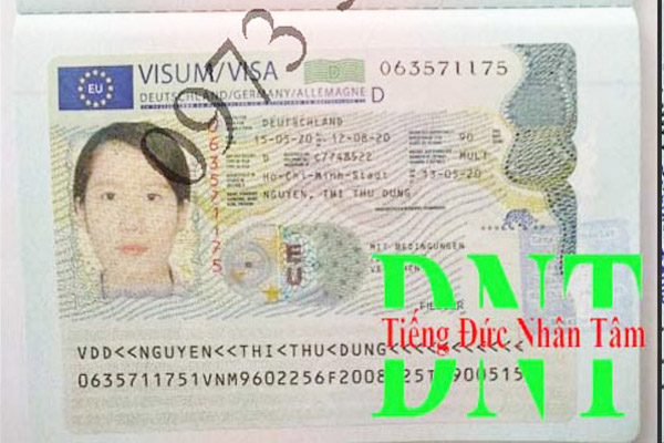 Nguyễn Thị Thu Dung