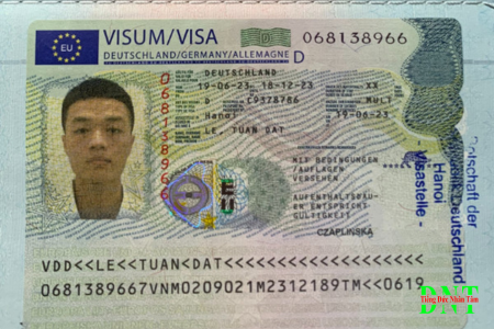 Visa Web (15)