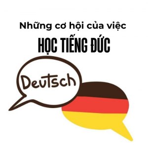 Từ Vựng Chủ đề "Bảo Tàng Lịch Sử"