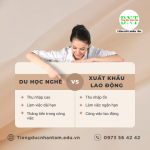 Du Học Nghề Đức Và Xuất Khẩu Lao động Khác Nhau Như Thế Nào?