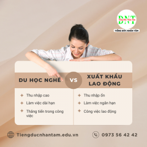 Du Học Nghề và Xuất khẩu lao động khác nhau như thế nào?