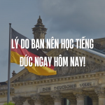 Lý Do Bạn Nên Học Tiếng Đức Ngay Hôm Nay!