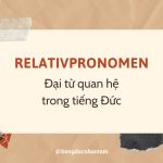 Nắm Vững Chủ điểm Ngữ Pháp đại Từ Quan Hệ Trong Tiếng Đức