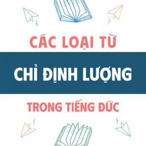 Các Loại Từ Chỉ định Lượng