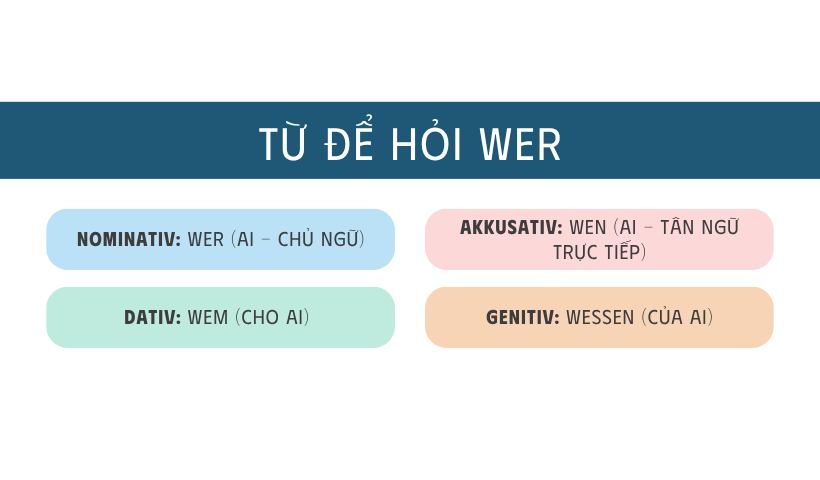 Từ để hỏi Wer