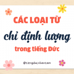 Các Loại Từ Chỉ định Lượng Cơ Bản Trong Tiếng Đức Cho Người Mới Bắt đầu
