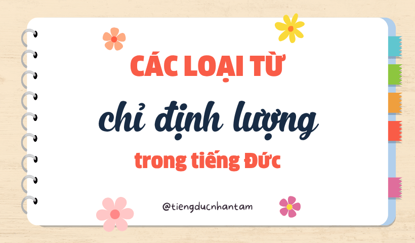 Các loại từ chỉ định lượng