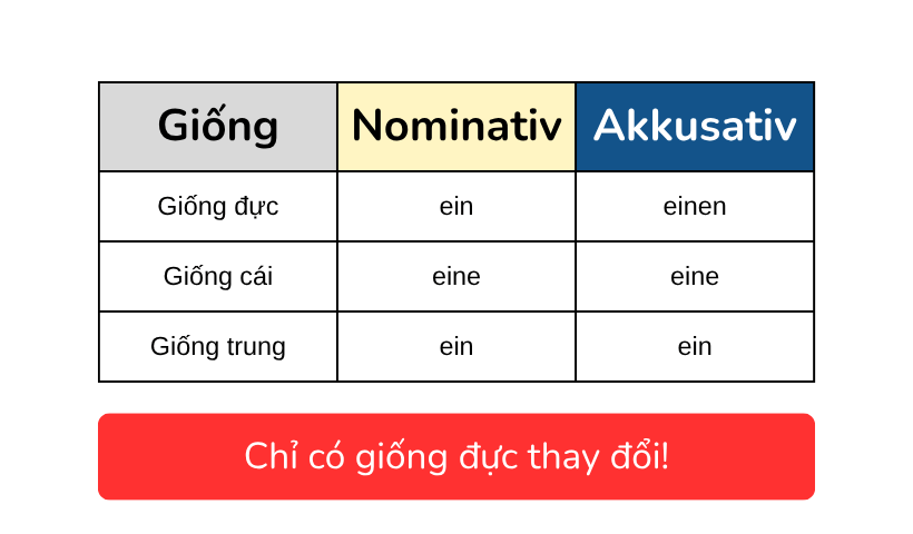 Mạo Từ Không Xác định