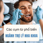 Các Cụm Từ Phổ Biến Về Ngành Trợ Lý Nha Khoa Mà Người Đức Hay Dùng